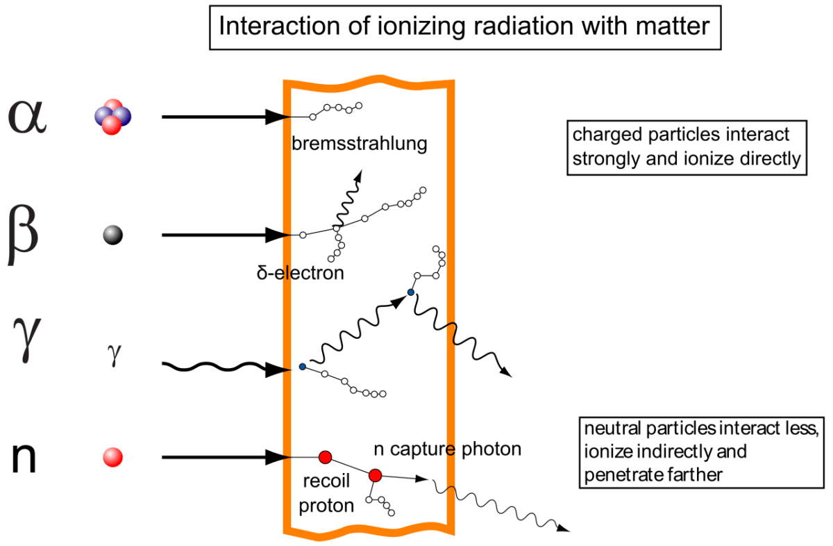 Interaction of ionizing radiation with matter