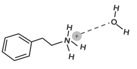 Ion-dipole bond