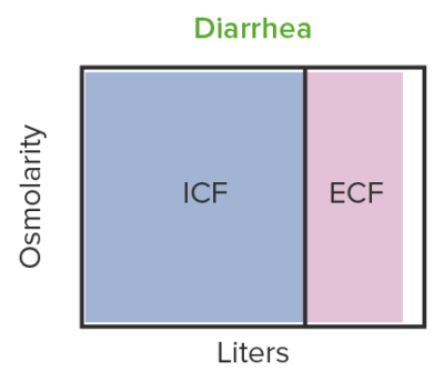 Compartimentos De Líquidos Corporales | Concise Medical Knowledge