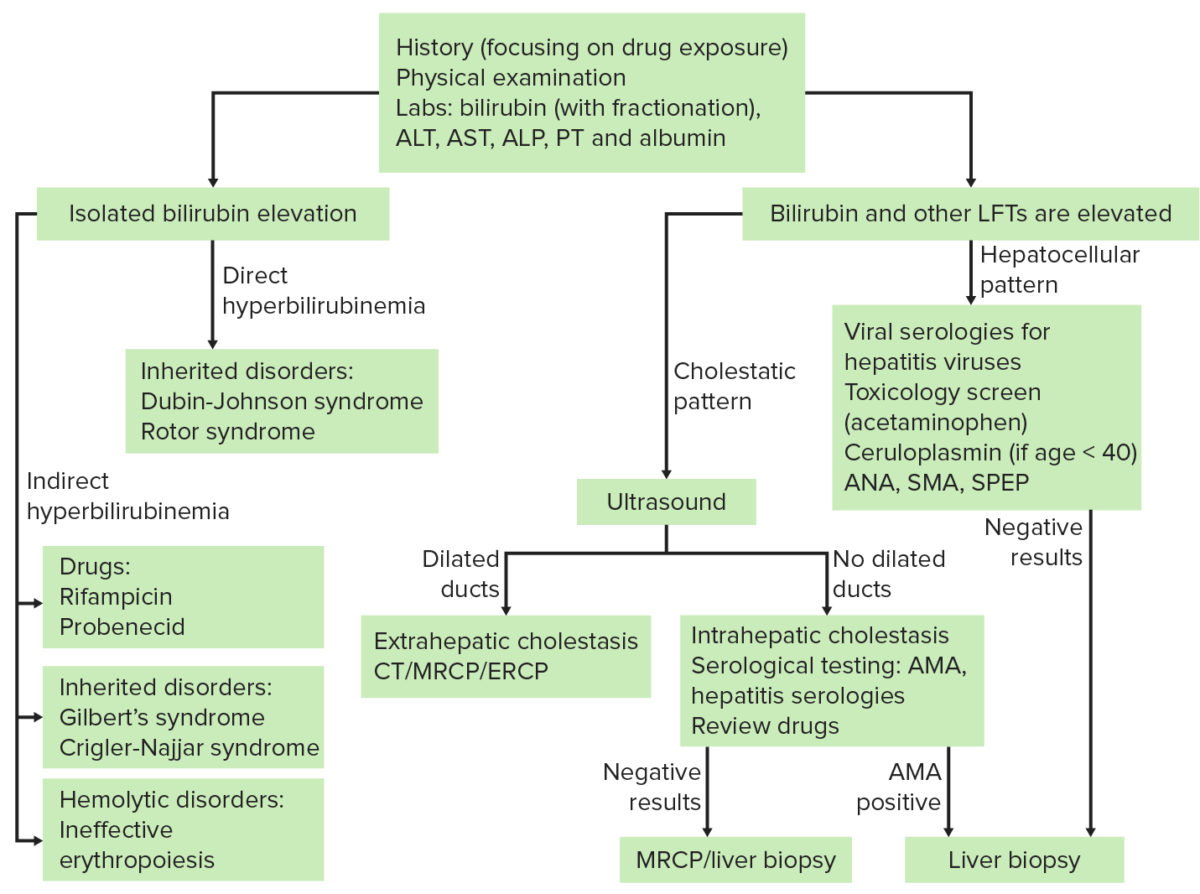 Jaundice Concise Medical Knowledge 0793