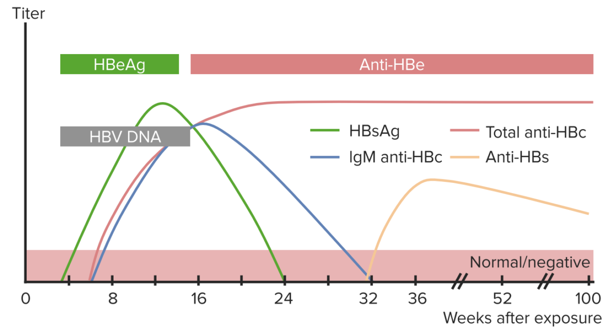 Laboratory parameters of hbv infection