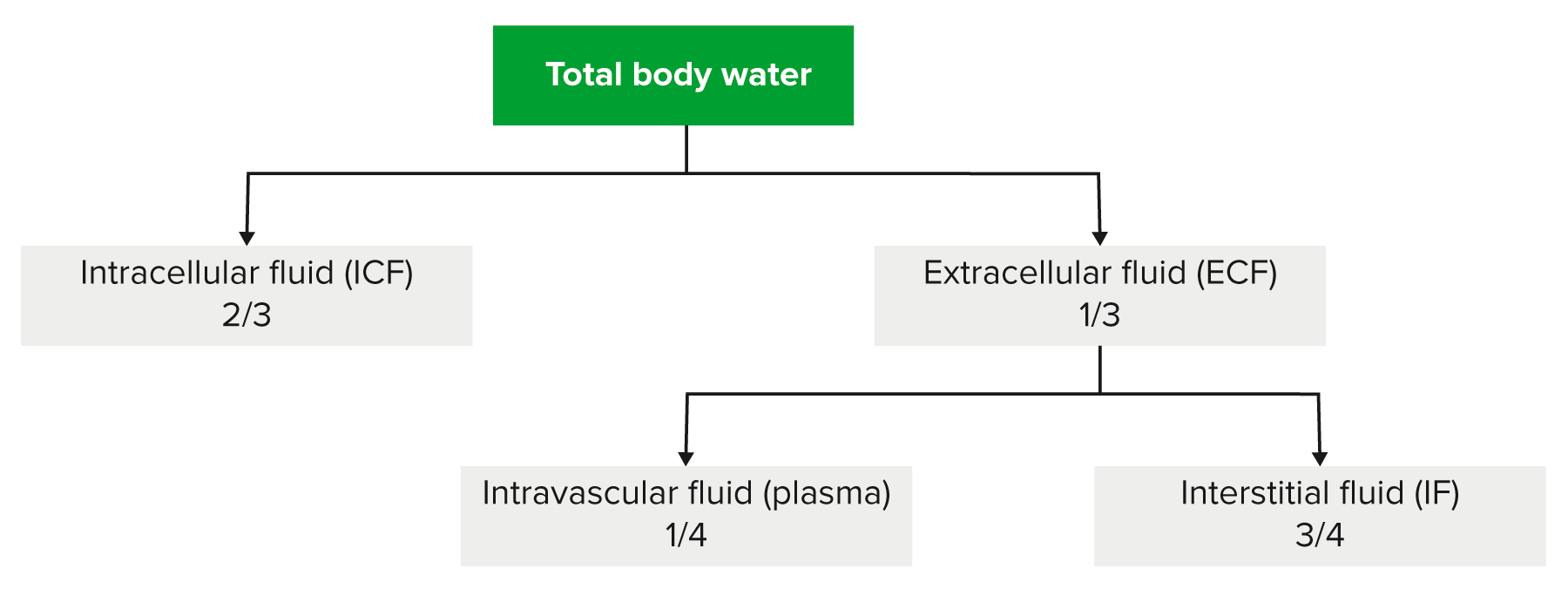 volume-depletion-and-dehydration-concise-medical-knowledge