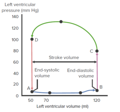 Left ventricular pressure–volume loop
