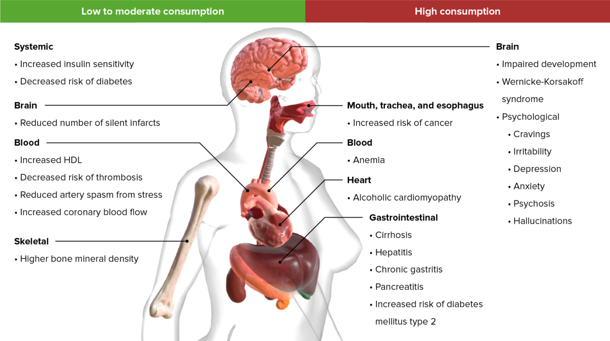 Long-term effects of ethanol consumption