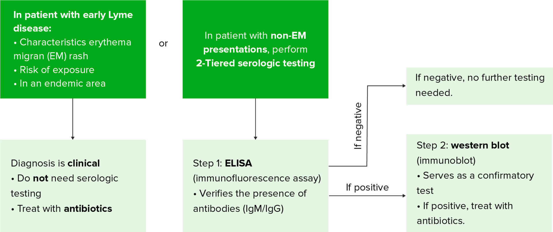 Lyme Disease Concise Medical Knowledge