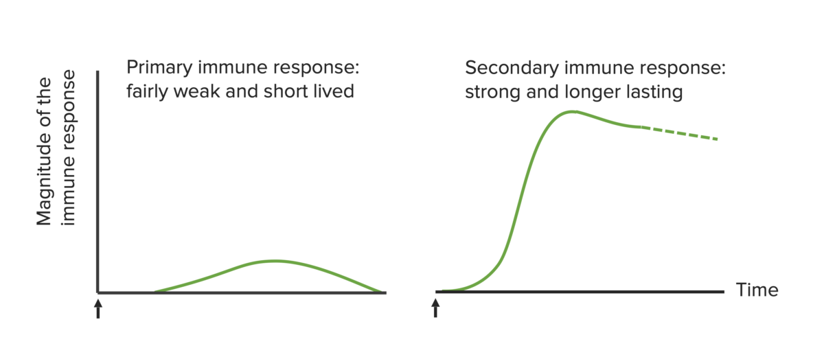 Magnitude of immune response