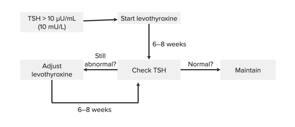 Algoritmo de manejo de la tiroiditis de hashimoto