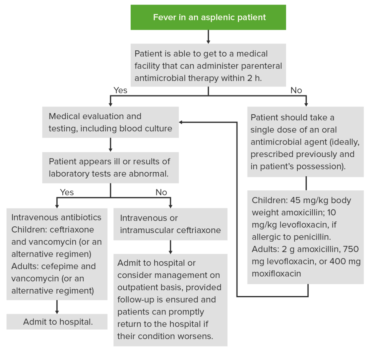 Management of fever in an asplenic patient