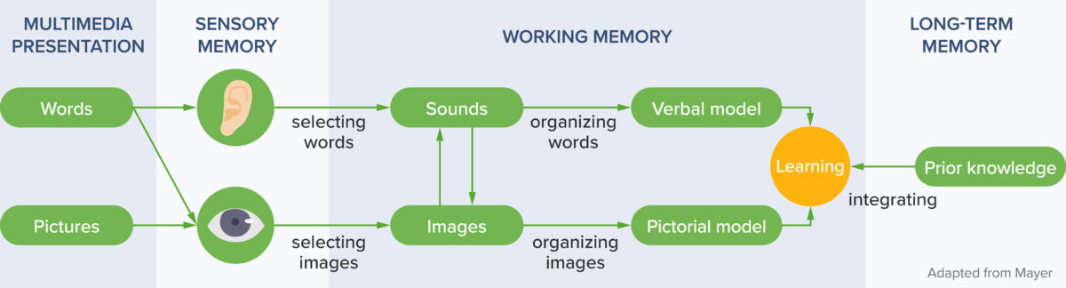 Mayers cognitive load theory