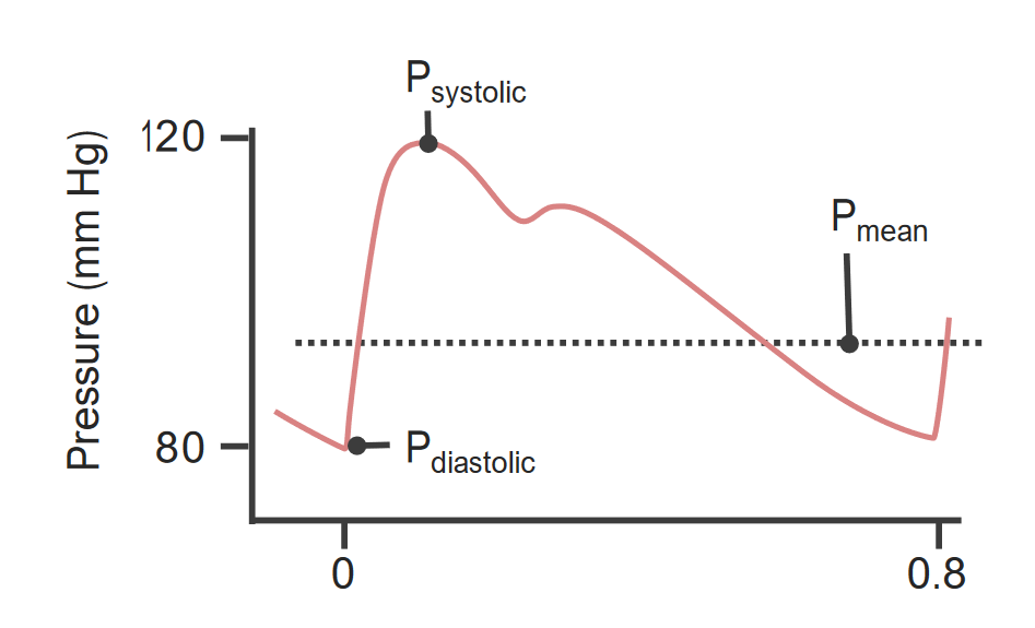 the-mean-arterial-pressure-the-good-doctor