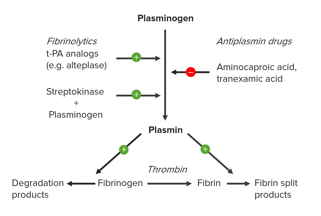 Mechanism of action for thrombolytic (fibrinolytic) agents