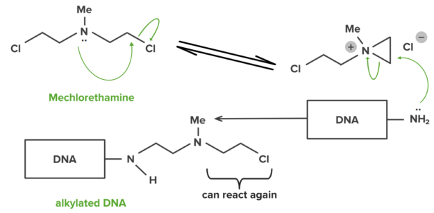 Mechlorethamine: example of dna interstrand linking