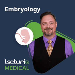 Medicalcourse embryology