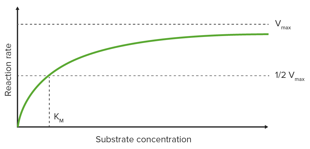 Michaelis-menten graph: saturation curve