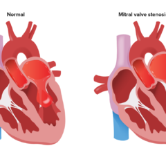 The Lecturio Medical Concept Library