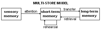 Multi-store model