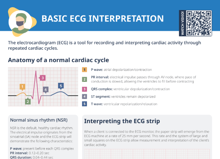 Thumbnail of Lecturio's Basic ECG Interpretation Cheat Sheet