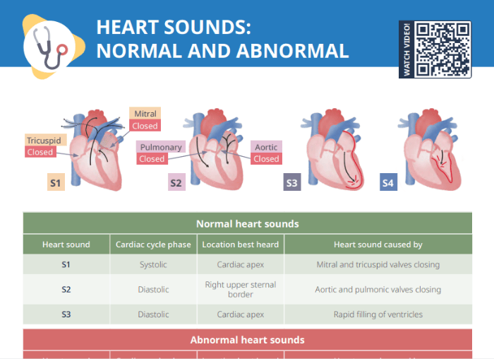 Thumbnail for Lecturio's Heart Sounds Normal and Abnormal Cheat Sheet