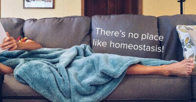 No place like homeostasis