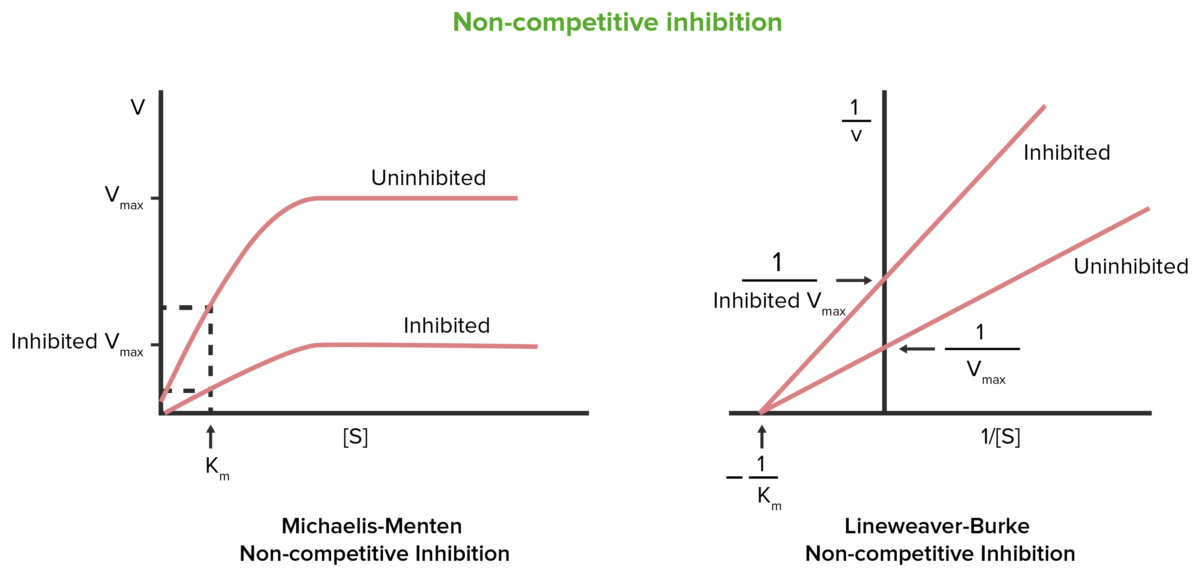 Non-competitive inhibition