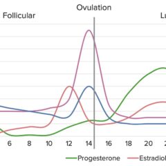 Normal hormonal fluctuations throughout the menstrual cycle