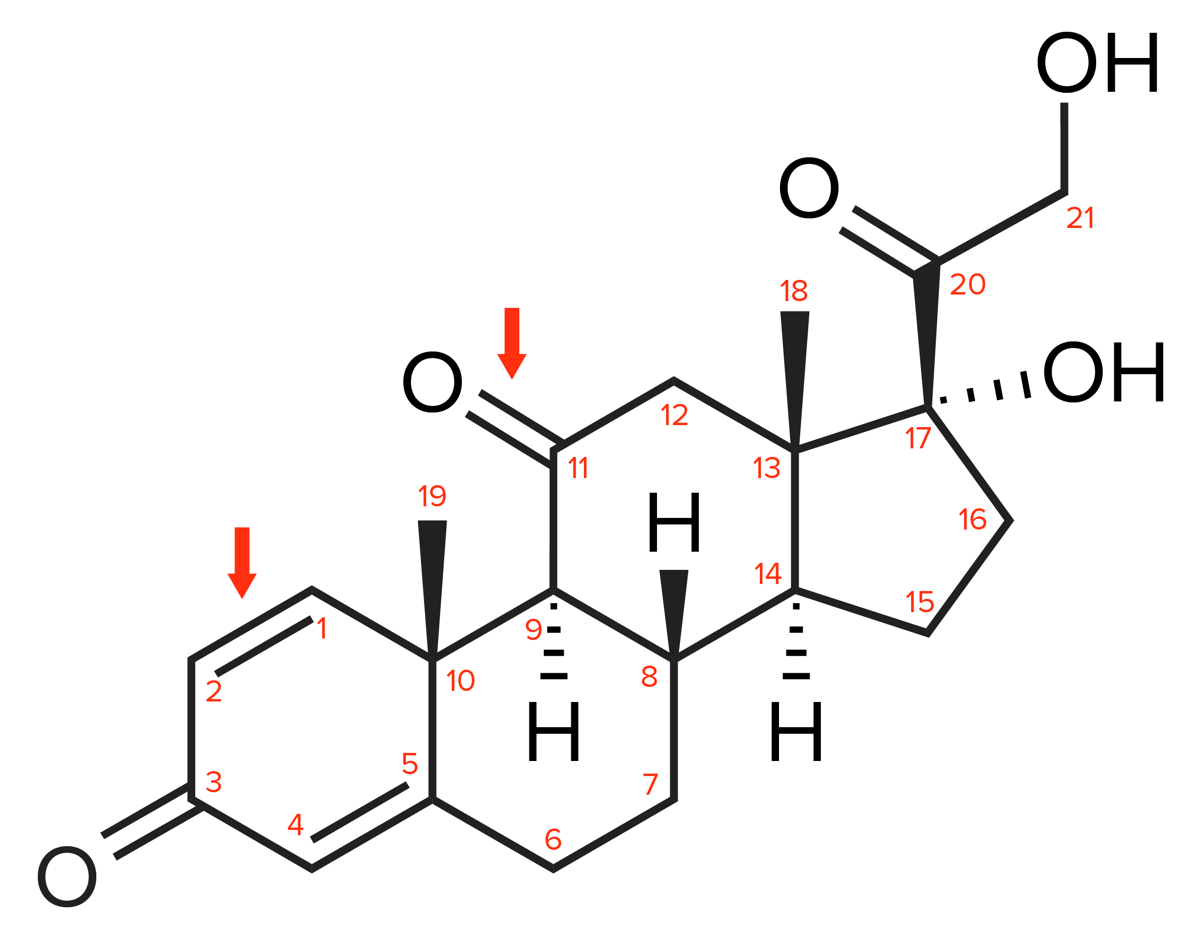 Numbering and highlighting the chemical structure of prednisone