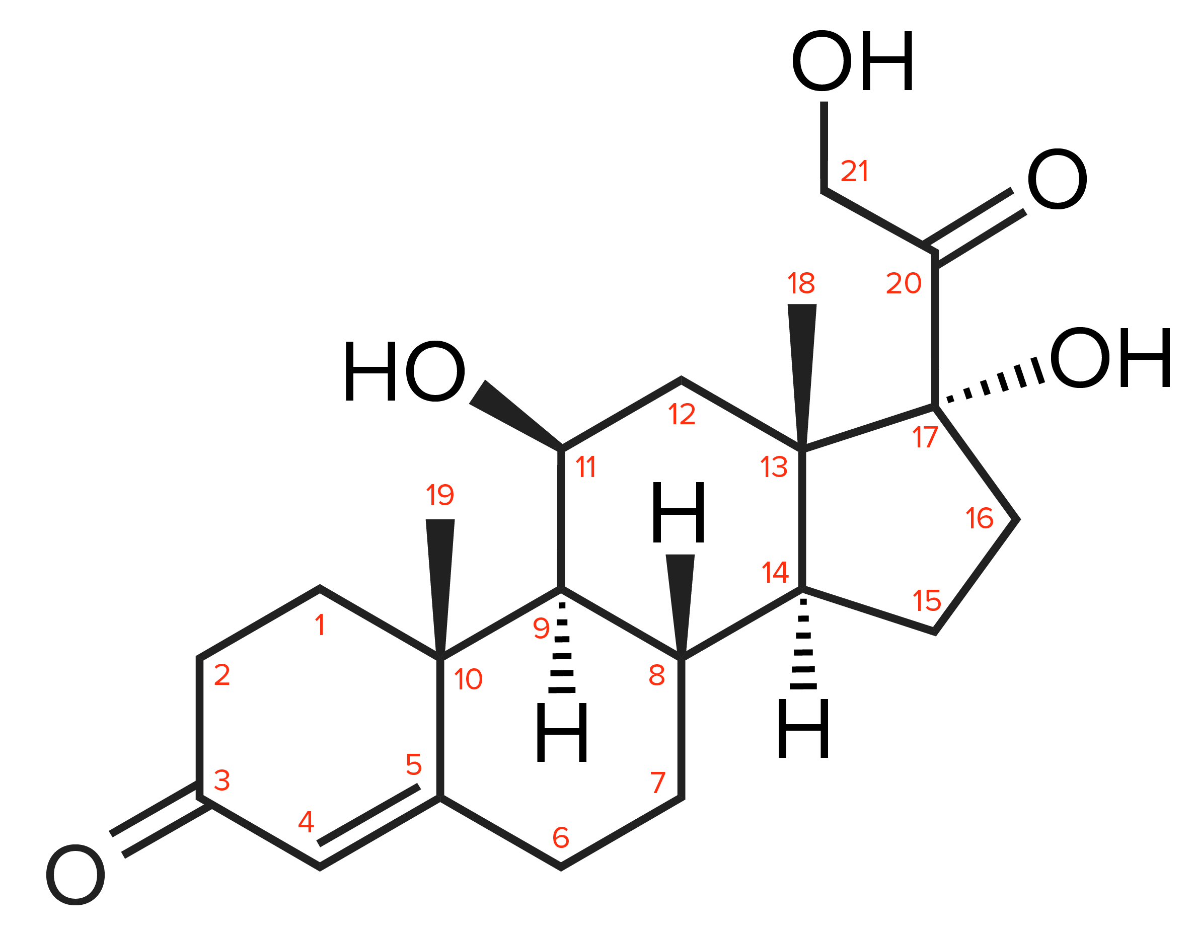 Numbering the cortisol chemical structure
