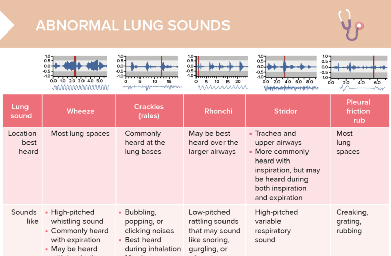 normal and abnormal lung sounds