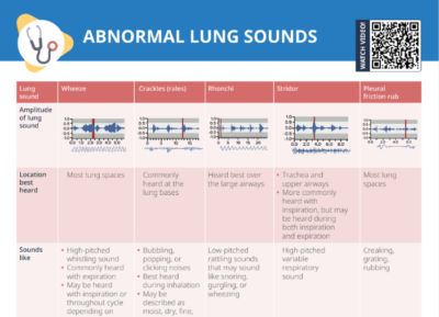 Charting Lung Sounds [+ Free Cheat Sheet] | Lecturio Nursing