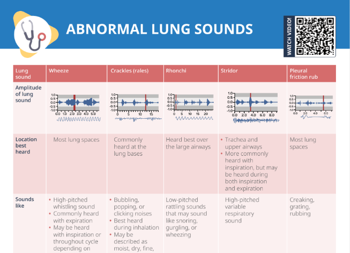 Thumbnail for lecturio's abnormal lung sounds cheat sheet
