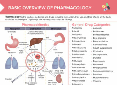Pharmacology overview