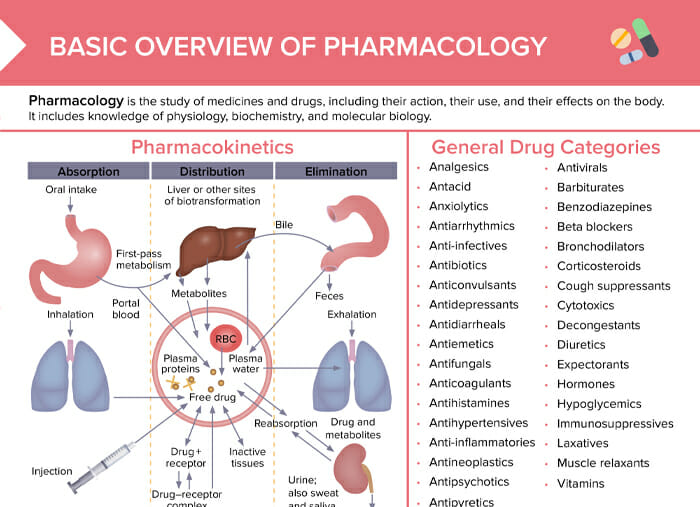 Pharmacology overview