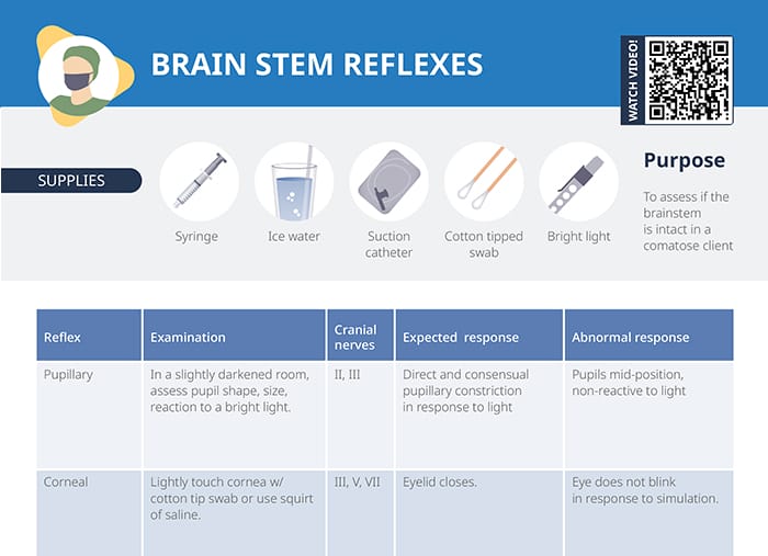 Review brainstem reflexes and their assessment