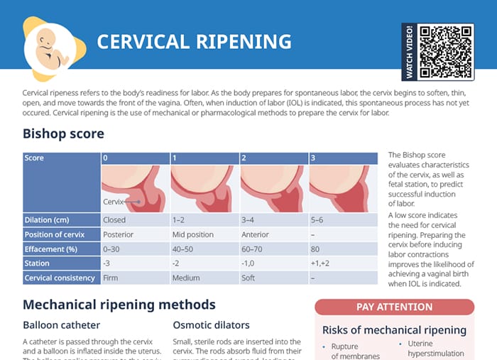 Cervical ripening