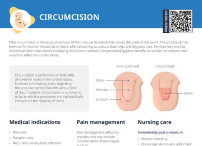 Circumcision: nursing care plan