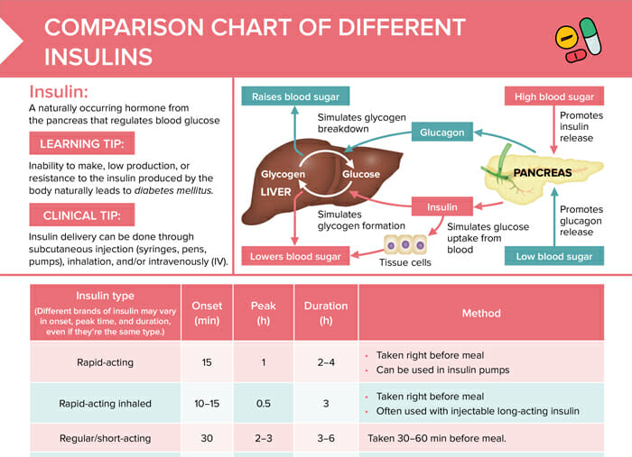 Chart compairing different insulins, organized by action onset