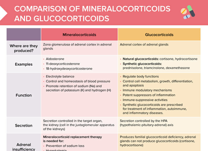 Comparison of mineralcorticoids and glucocorticoids