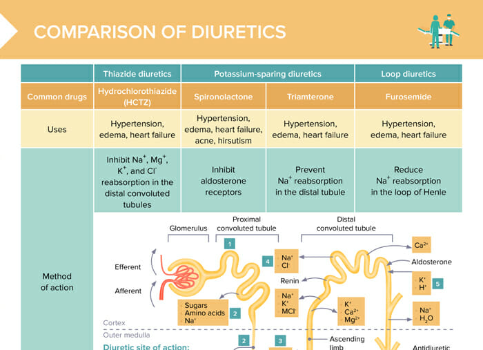 Comparison Of Diuretics Lecturio