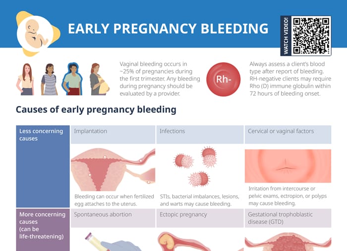 Early pregnancy bleeding