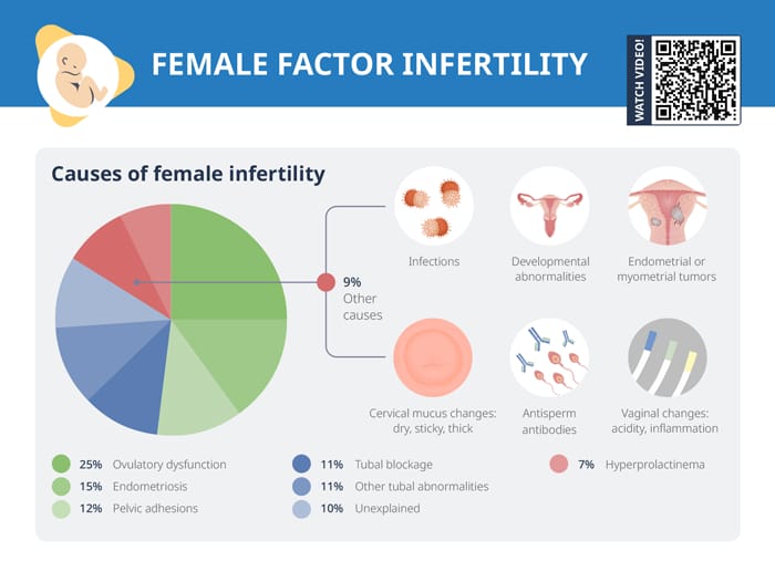 Female factor infertility
