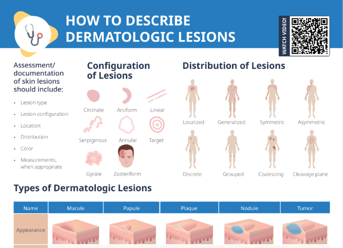 Thumbnail for Lecturio's How to describe Dermatologic Lesions Cheat Sheet