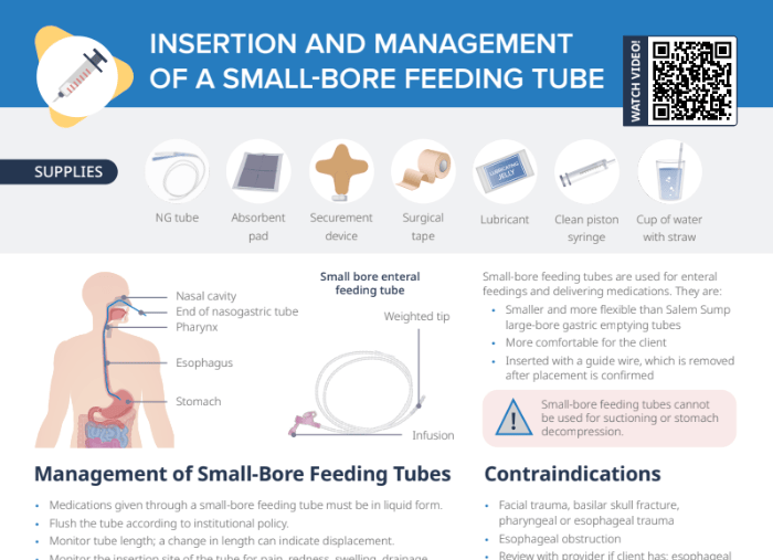 Thumbnail of Lecturio's Insertion and Management of a Small Bore Cheat Sheet