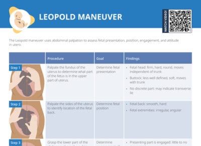 Leopold maneuvers