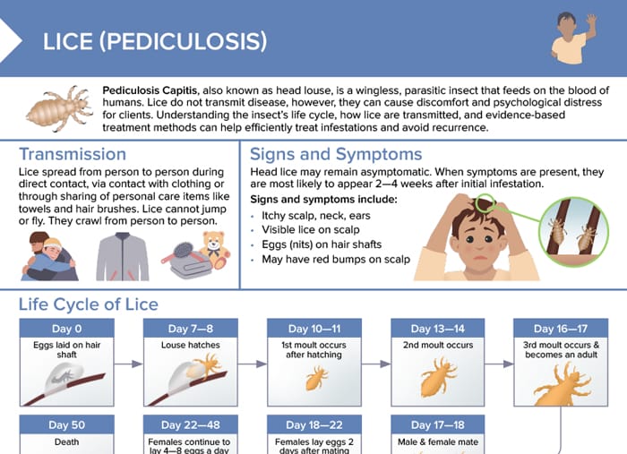 Overview of lice: transmission, signs/symptoms, life cycle, treatment and prevention of reinfestation