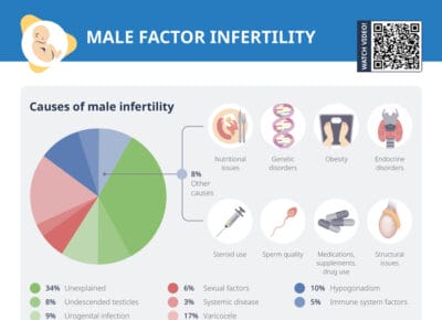 Male factor infertility