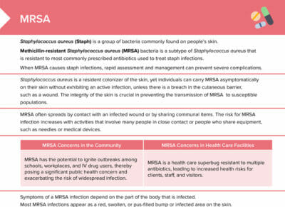 Staphylococcus  Concise Medical Knowledge