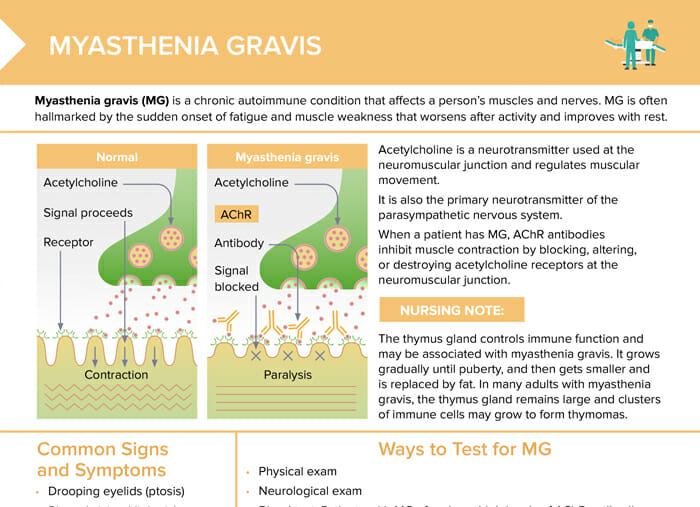 Myasthenia gravis is a rare, chronic autoimmune condition that affects muscles and nerves.