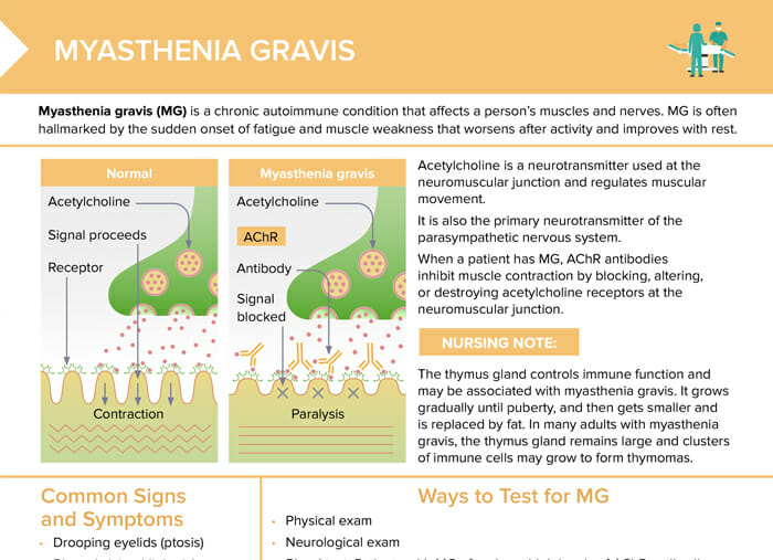 acetylcholine receptor myasthenia gravis