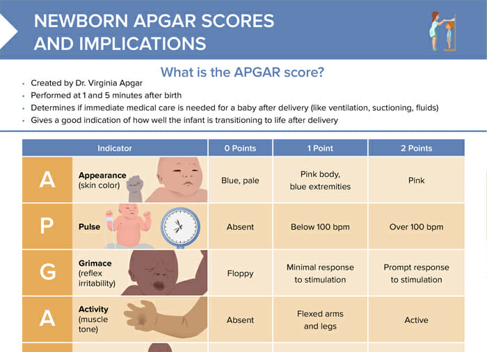 apgar scale chart Pin by allie patriciello on medical: child