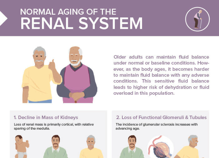 Nursing cs normal aging of renal system 2